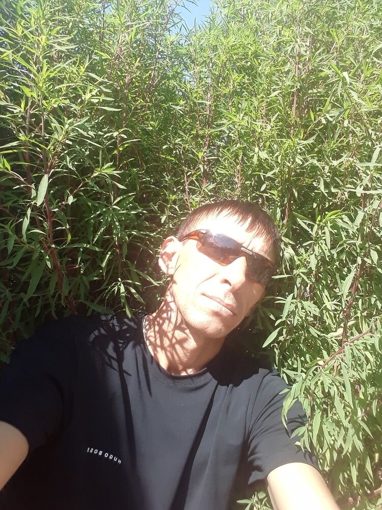  16255394  , 50 ,    
