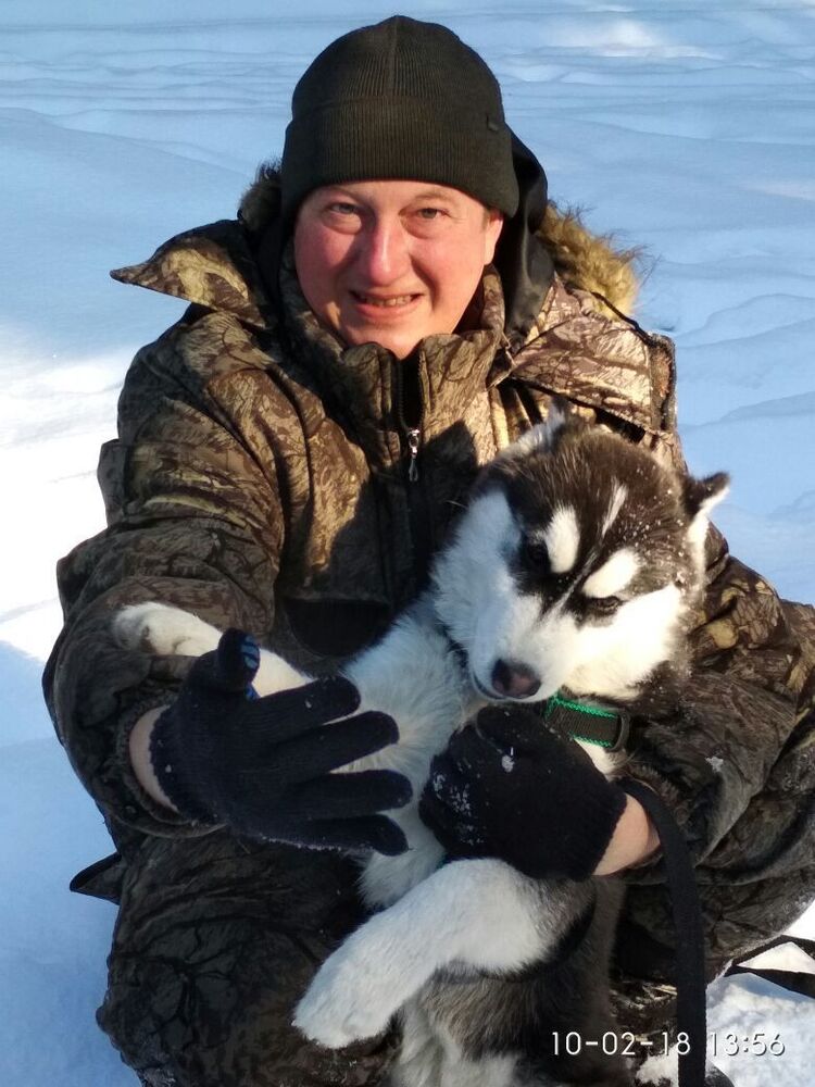 ���������� �������, ���� ������� �������, 44 ����, ������������ ��� ������, ����� � ���������, c�������� ���������