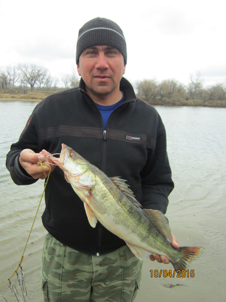  ,   Andrey, 49 ,   ,   , c 