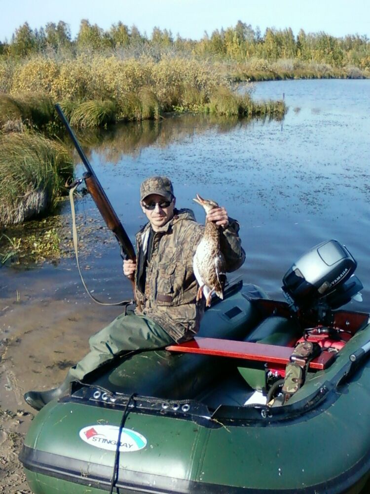 ���� 5295164 ������� ���������, 51 ���, ���� ���������� � ������