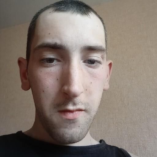  29801684  , 26 ,    