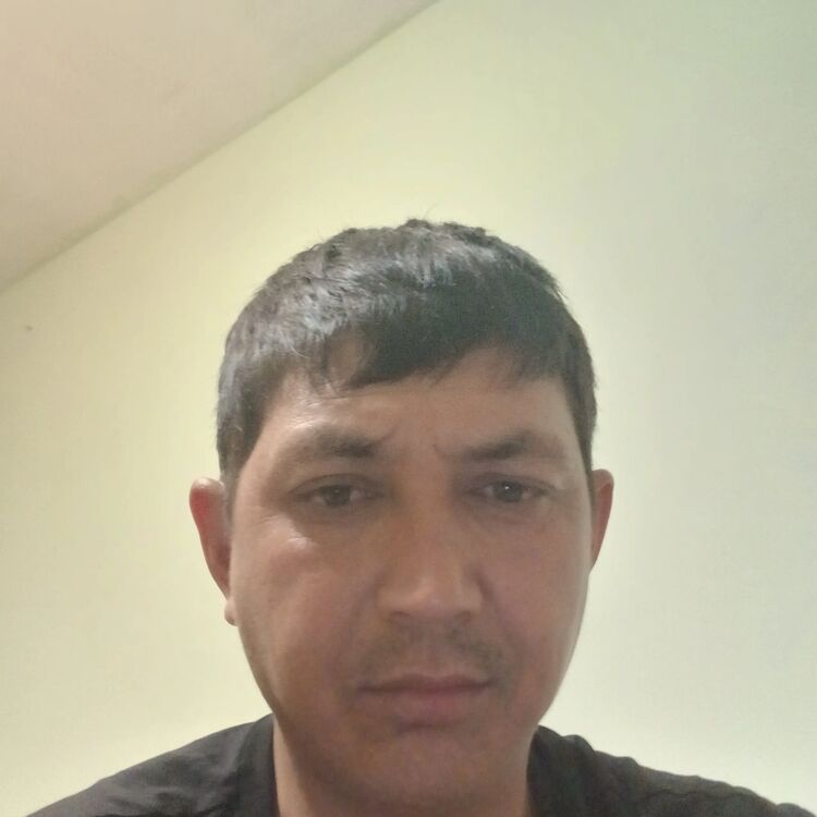  51272054  , 37 ,    -