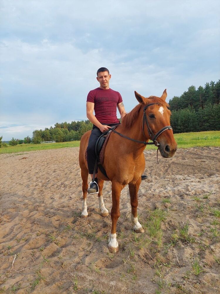 ���� 46396404 ������� ������, 40 ���, ���� ���������� � ������