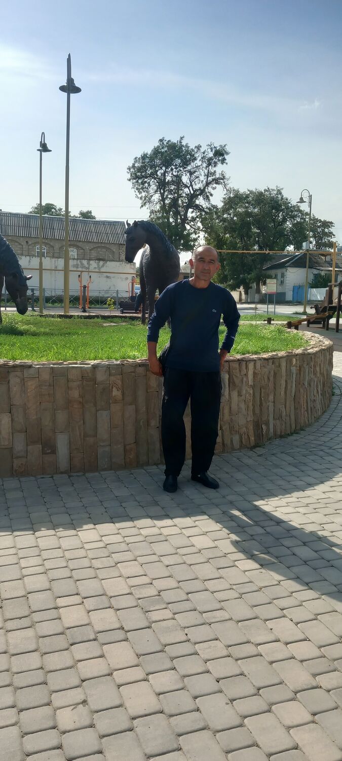  43009284  , 49 ,    