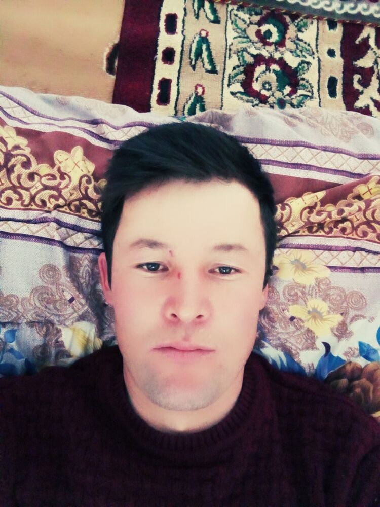  33137194  , 33 ,    