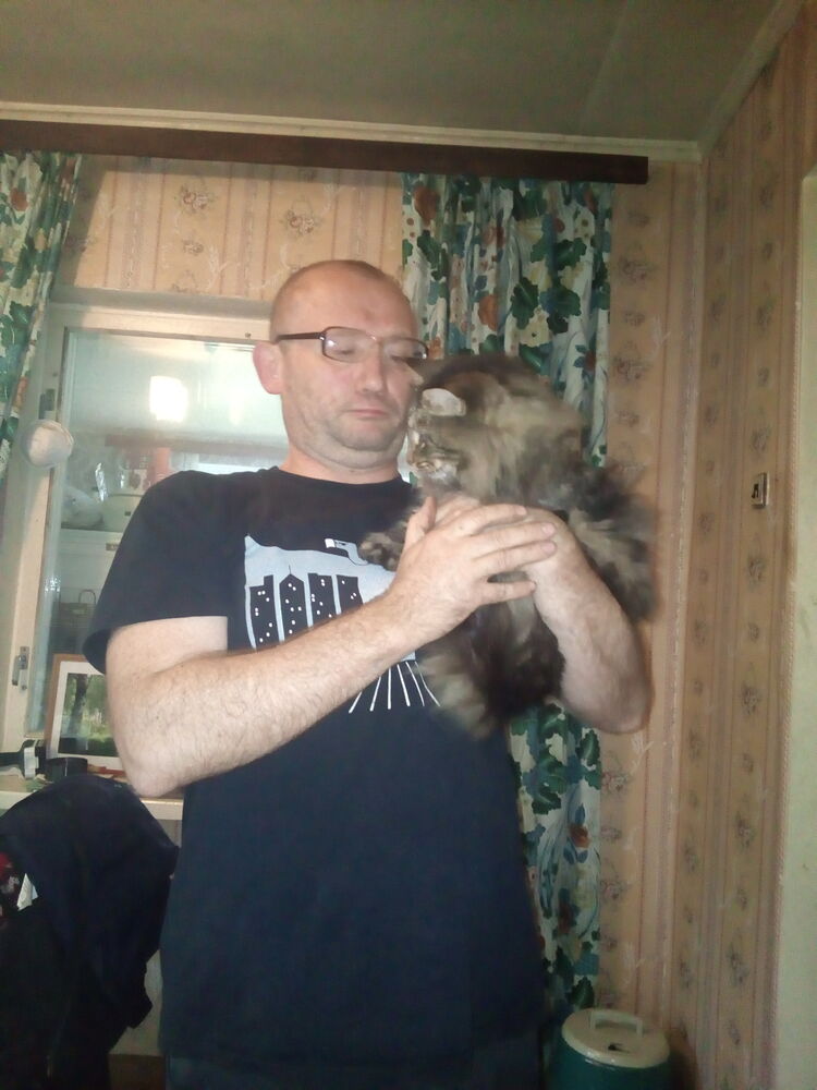  ,   , 52 ,   ,   