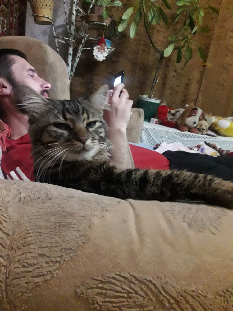 ���������� ��������, ���� ������� Jimi, 39 ���, ������������ ��� ������, ����� � ���������, c�������� ���������, ���������