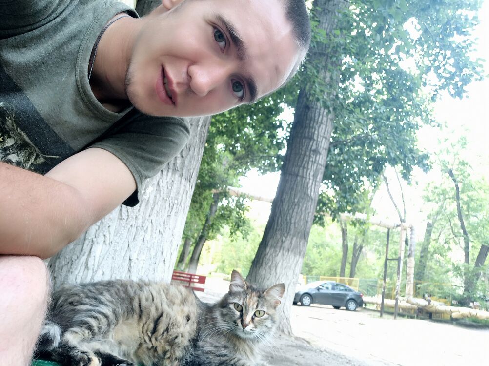  ,   , 26 ,   c , 