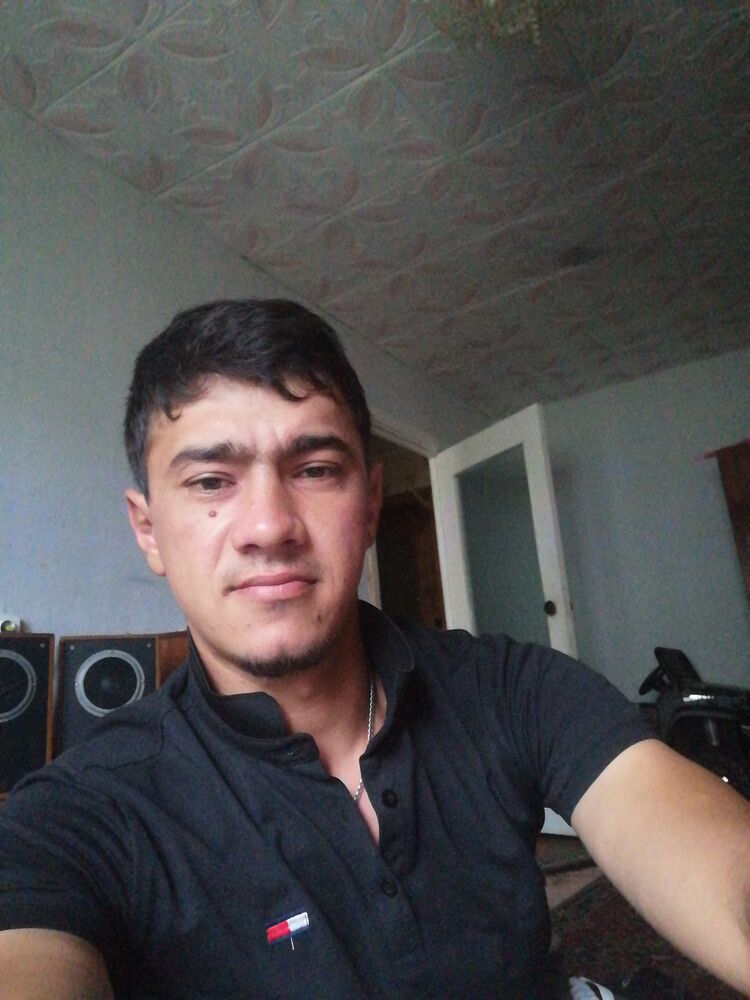  27680584  , 31 ,    