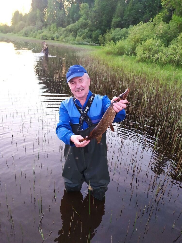 ���� 25104784 ������� ������, 60 ���, ���� ���������� � �����-����������