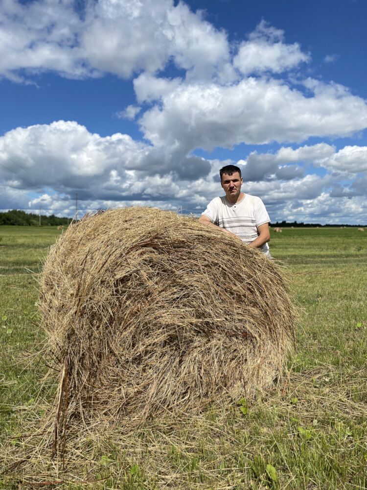 ���� 28149704 ������� ���������, 38 ���, ���� ���������� � ������ ���������