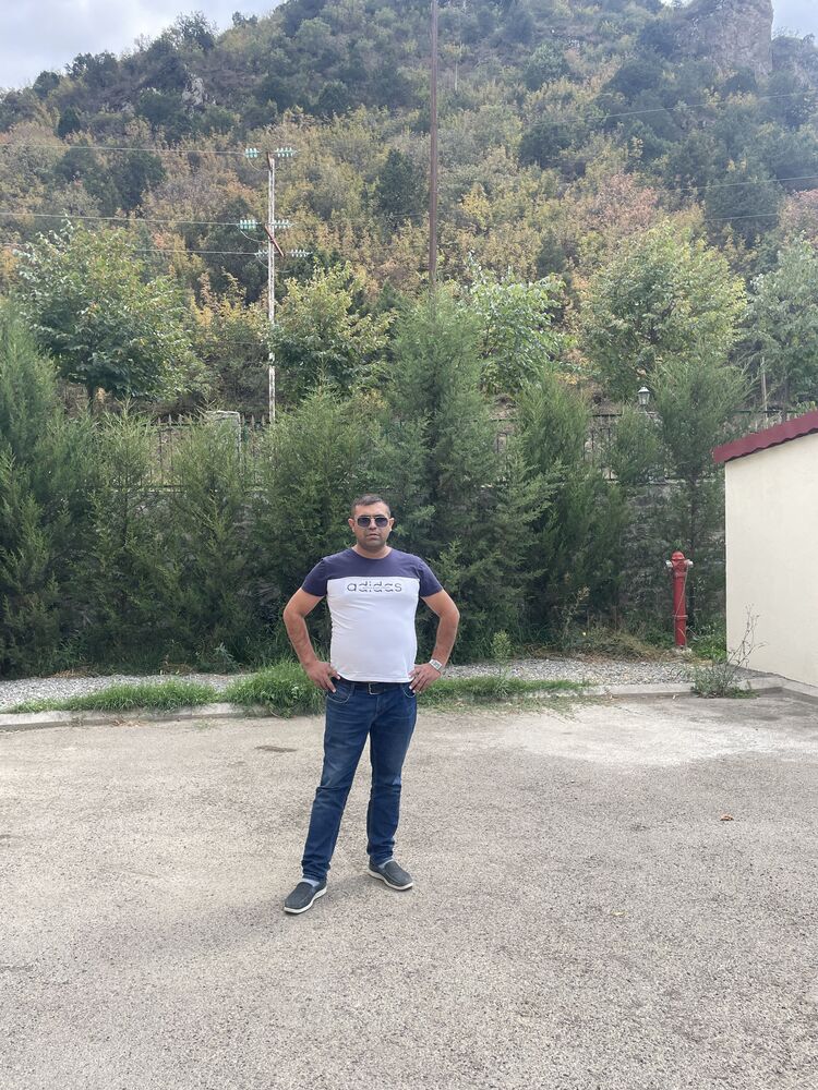  29333384  , 41 ,    