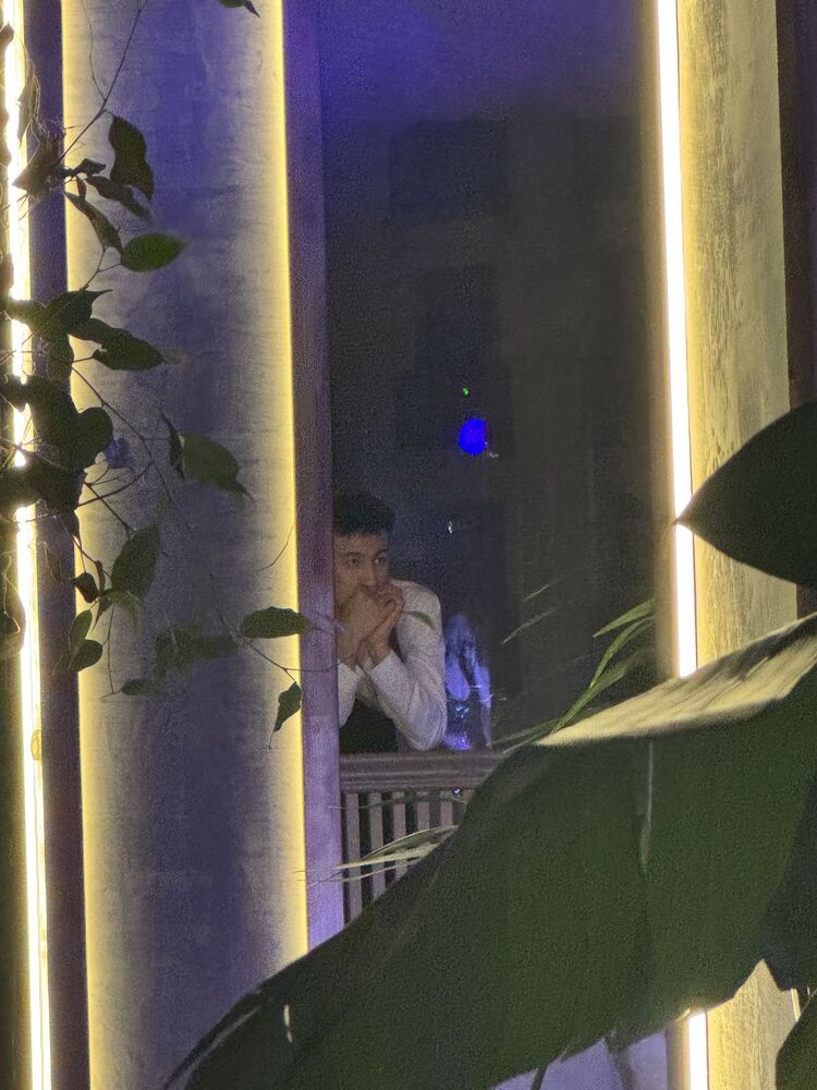  50527814  , 23 ,    -