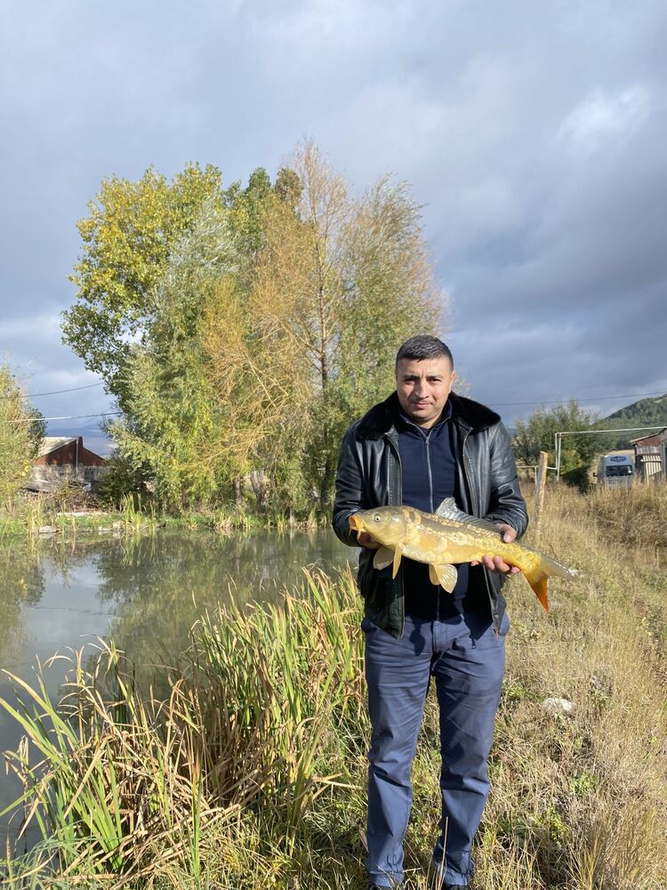 ���������� �������������, ���� ������� �����, 43 ����, ������������ ��� ������, ����� � ���������