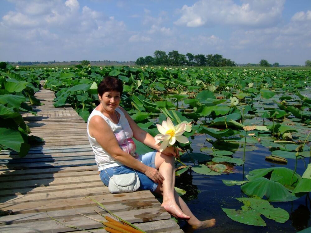  ,   , 66 ,   , 