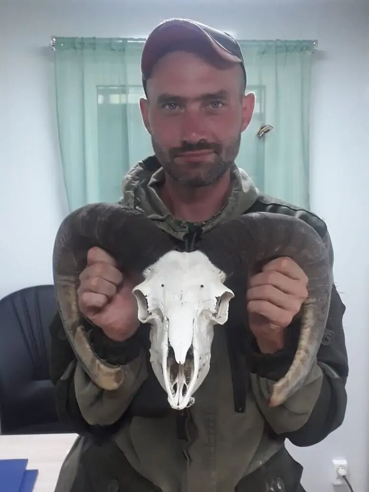 ���������� �������, ���� ������� Ivanov, 35 ���, ������������ ��� c�������� ���������