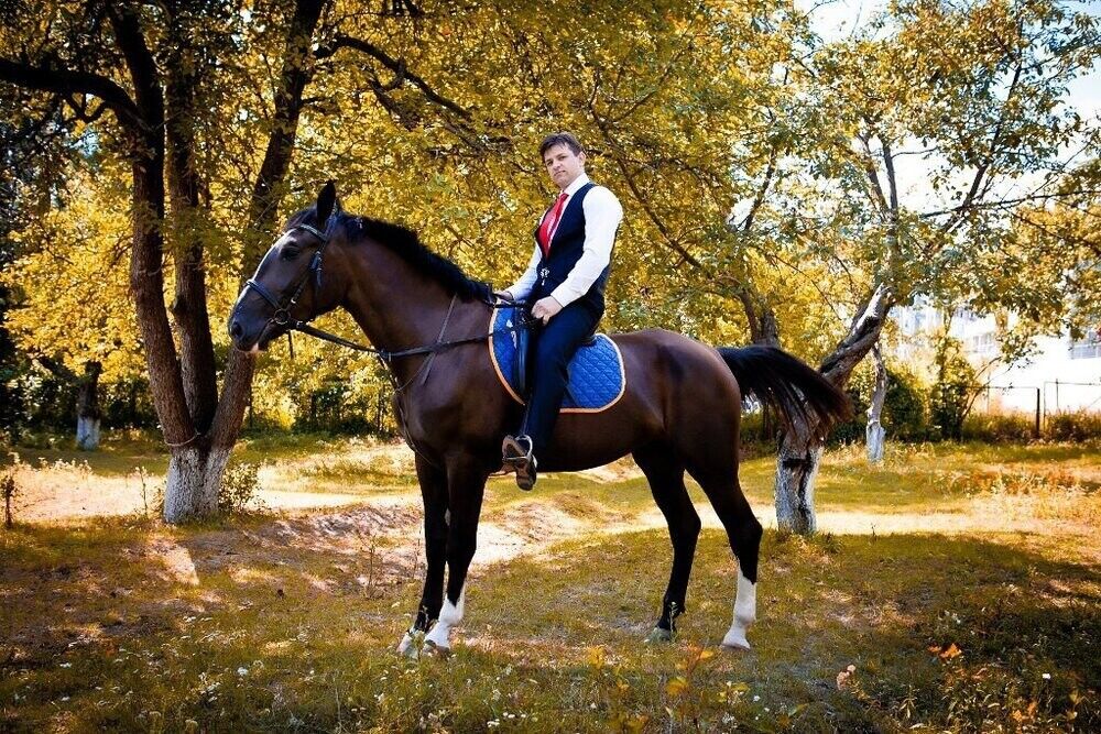 ���� 22515434 ������� �����, 43 ����, ���� ���������� � ������