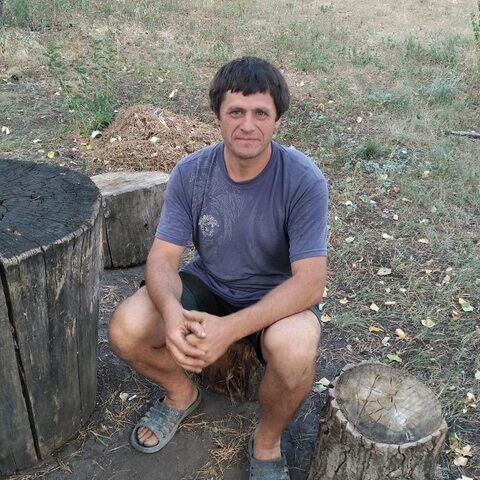  33146374  , 43 ,    