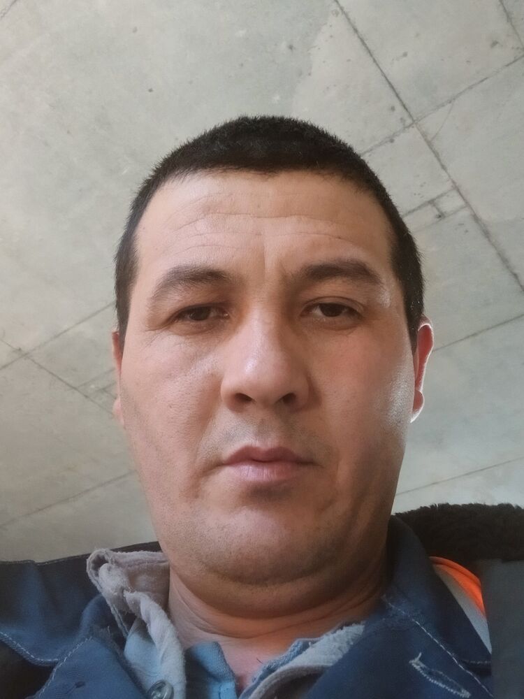 48448324  , 32 ,    