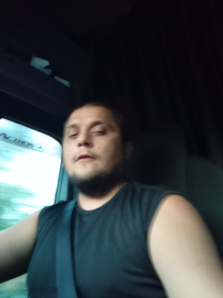  31217774  , 42 ,    