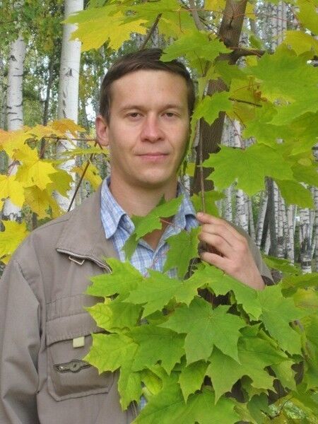 ���������� �����, ���� ������� ��������, 46 ���, ������������ 