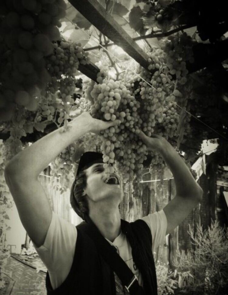 ���������� ������, ���� ������� ������, 31 ���, ������������ ��� ������