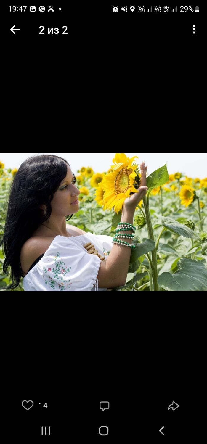 ���������� ���������, ���� ������� ���, 38 ���, ������������ ��� ������, ����� � ���������