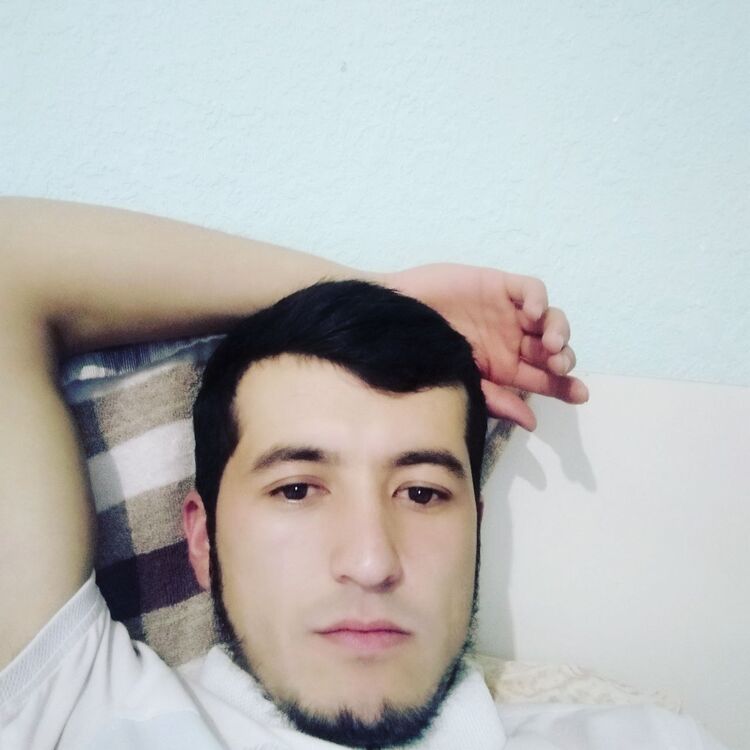 ���� 41522474 ������� ���������, 28 ���, ���� ���������� � ���������� ������