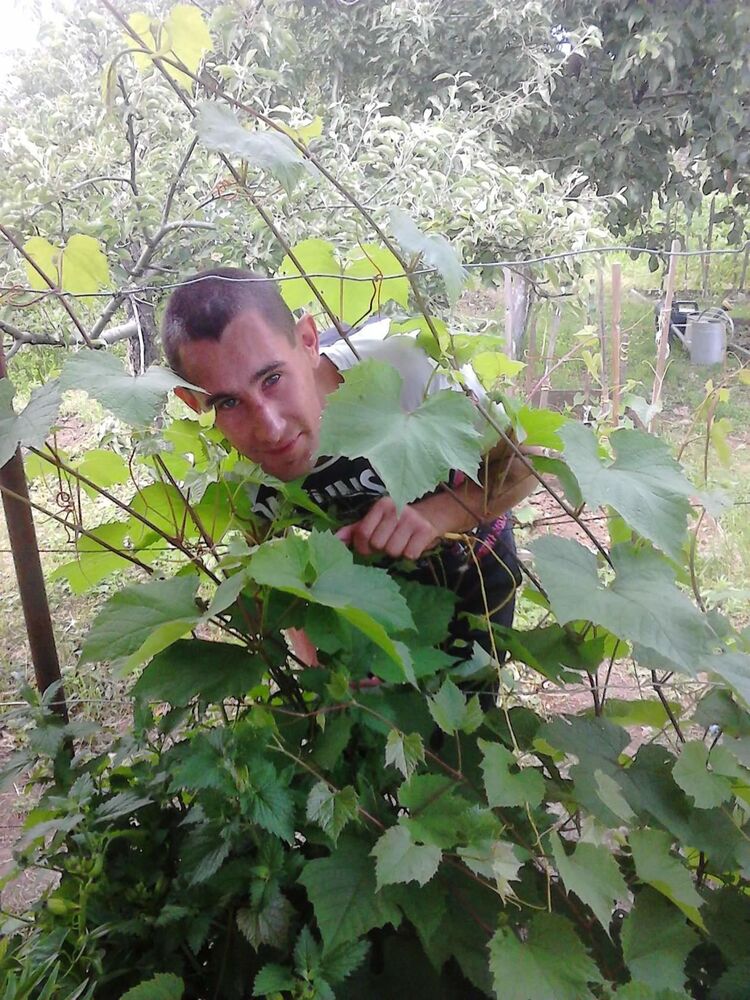  ,   , 33 ,   c 