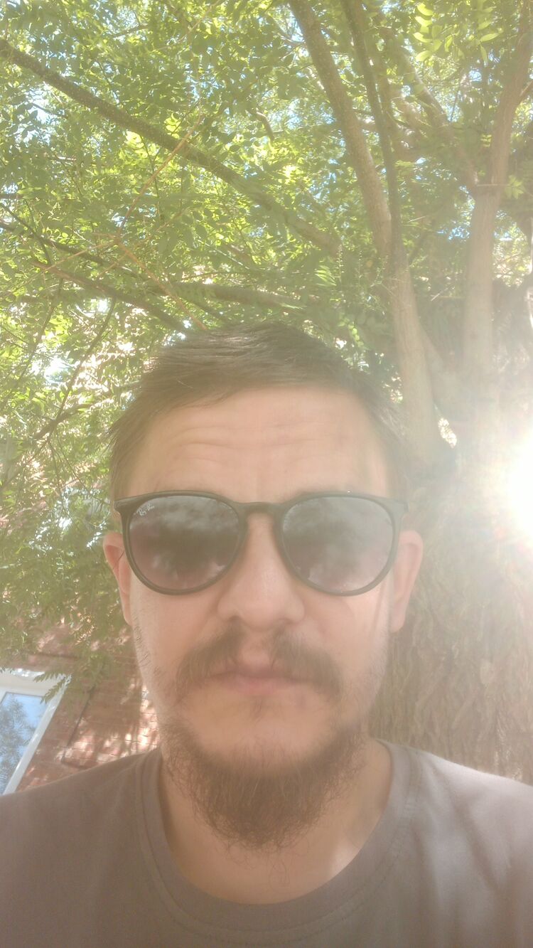  43914284  , 31 ,    