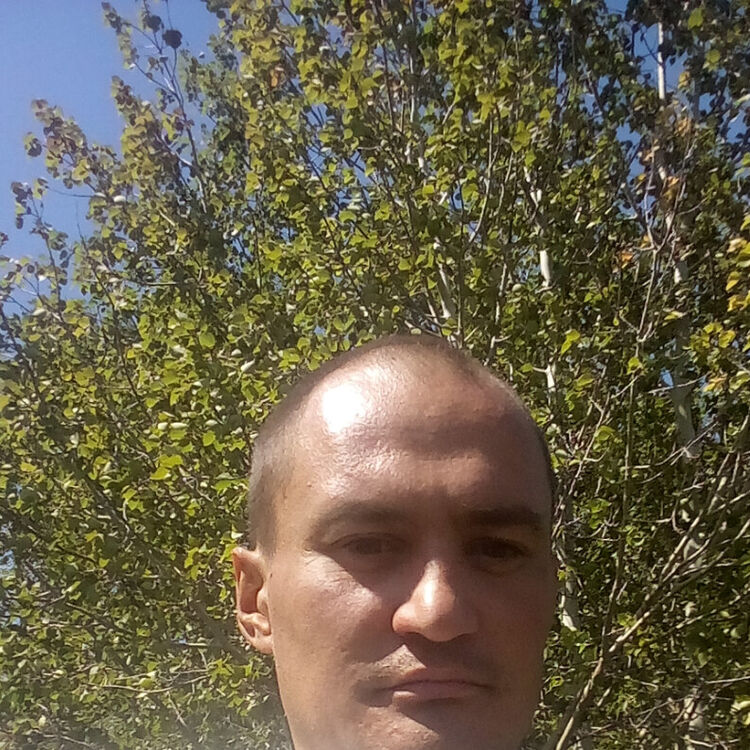  21478674  , 32 ,    
