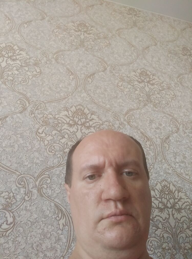  44493474  , 43 ,    
