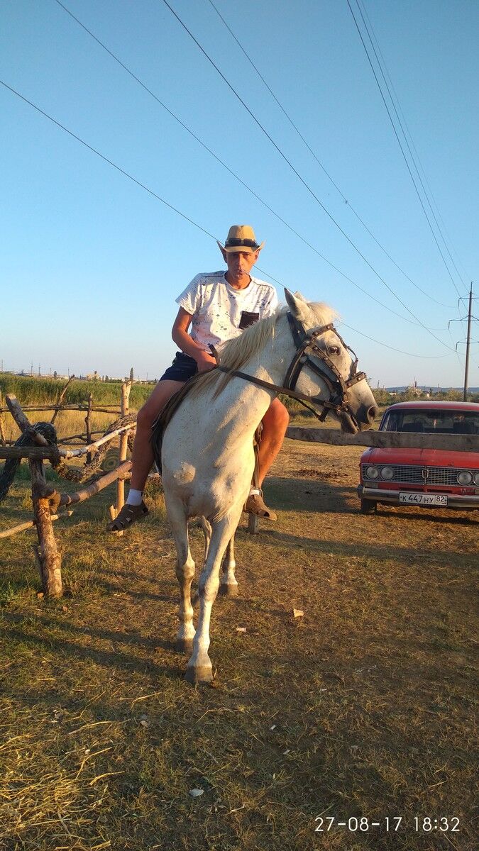  ,   , 48 ,   