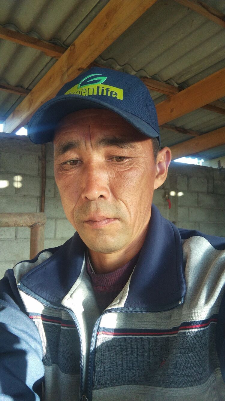  46209554  , 41 ,    