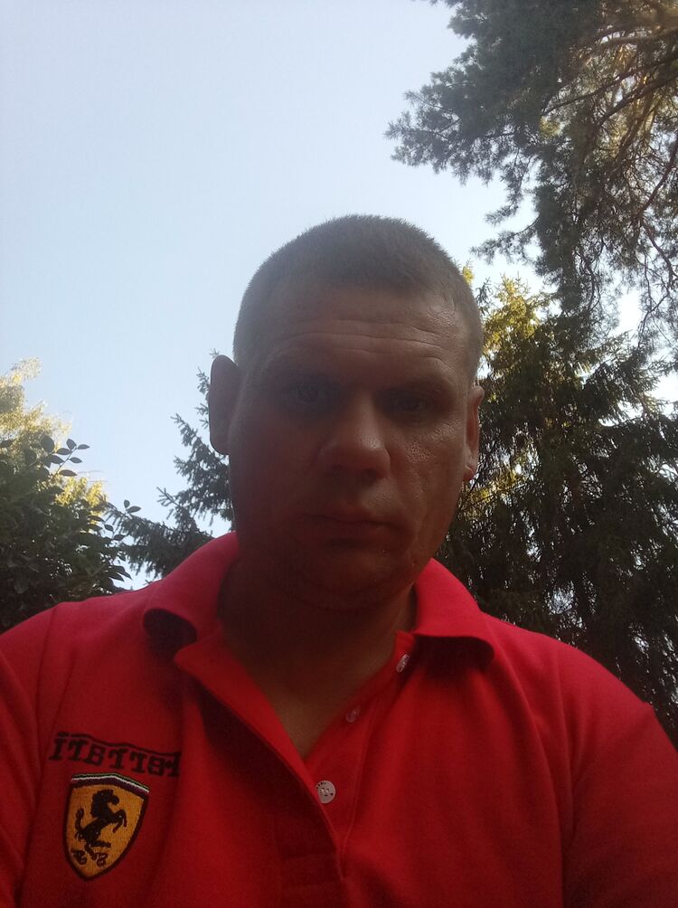  39303264  , 44 ,    