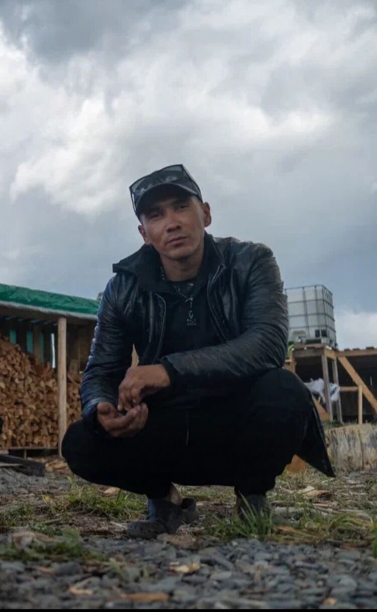  53337394  , 37 ,    --