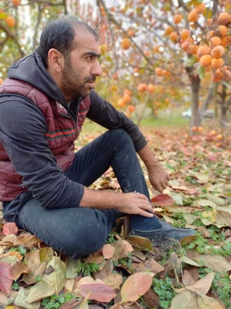 ���� 25165434 ������� ������, 37 ���, ���� ���������� � ����