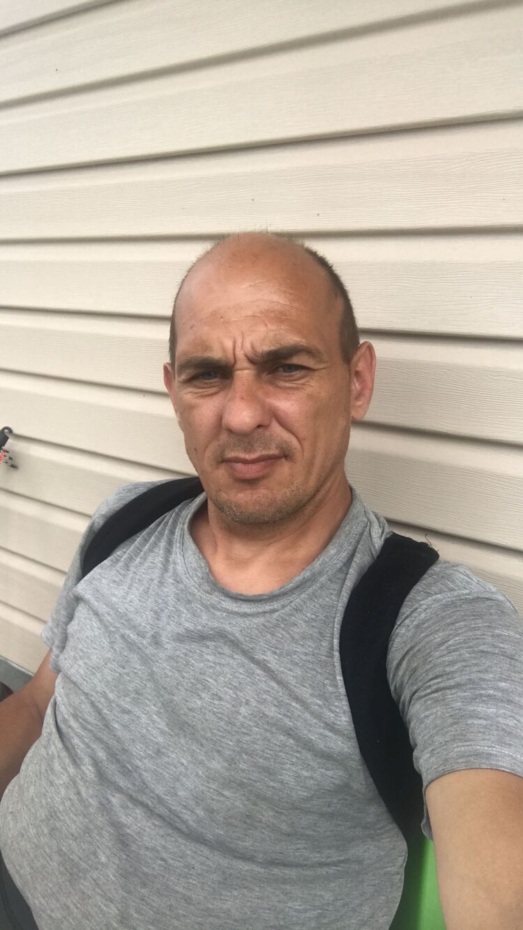 45533834  , 44 ,    