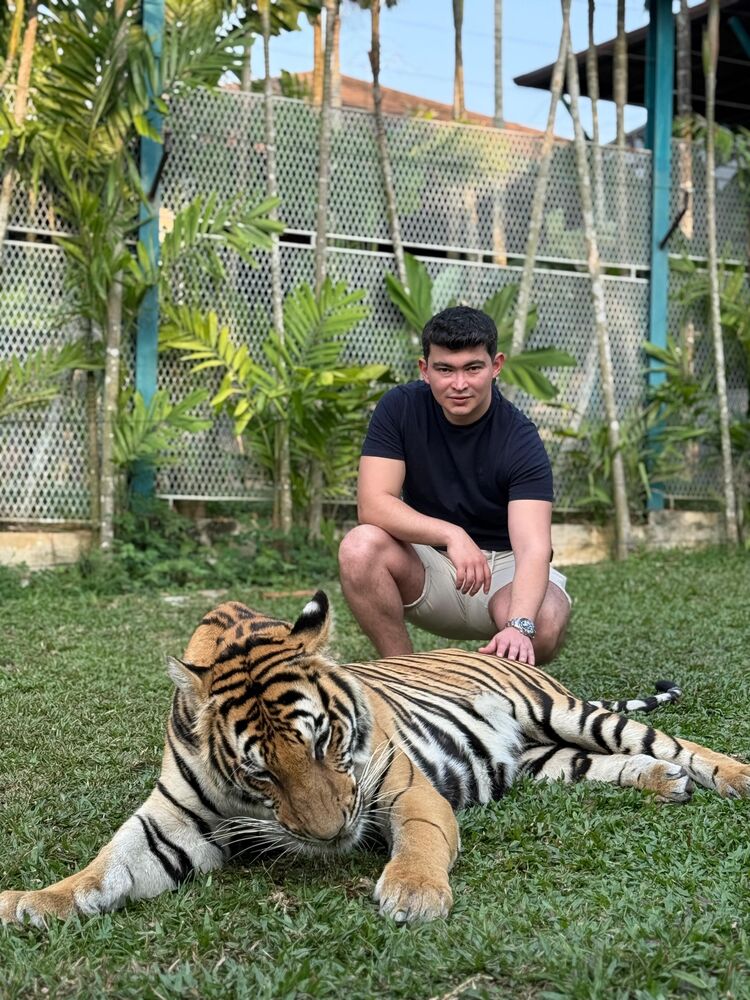 ���������� ������, ���� ������� Tolga, 30 ���, ������������ ��� ������, ����� � ���������