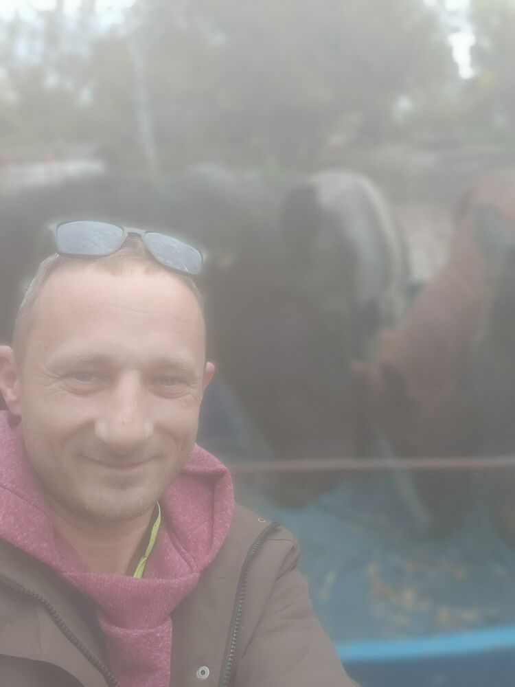  29957714  , 43 ,    