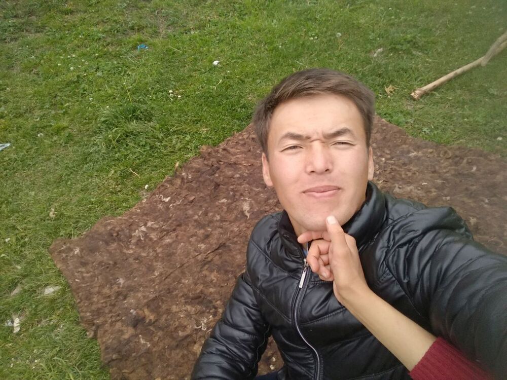 ���� 23054084 ������� �������, 32 ����, ���� ���������� � �������