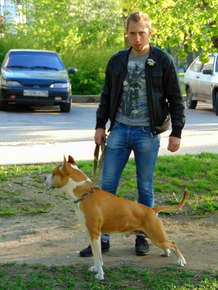 ���������� �����-���������, ���� ������� ������, 33 ����, ������������ ��� ������, ����� � ���������, c�������� ���������