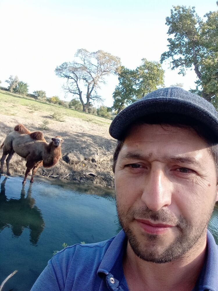 ���� 55066794 ������� ��������, 39 ���, ���� ���������� � ���������