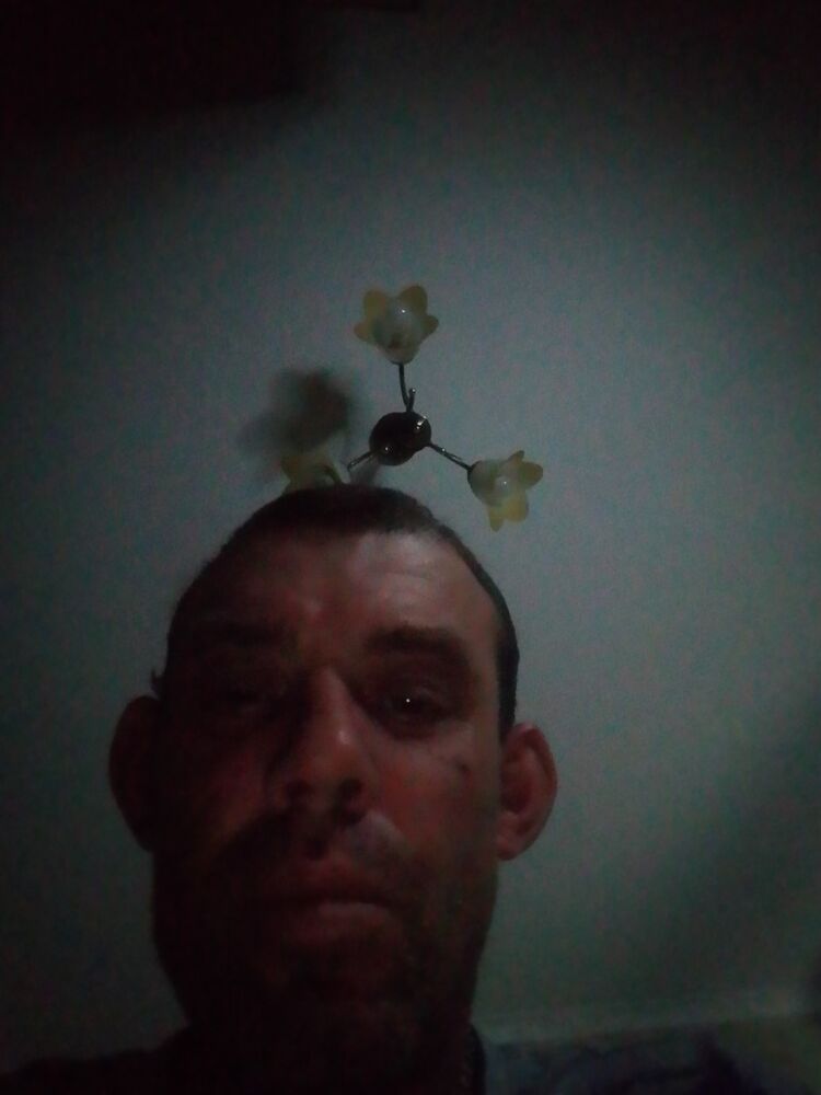 ���� 55384884 ������� �������, 43 ����, ���� ���������� � �����������