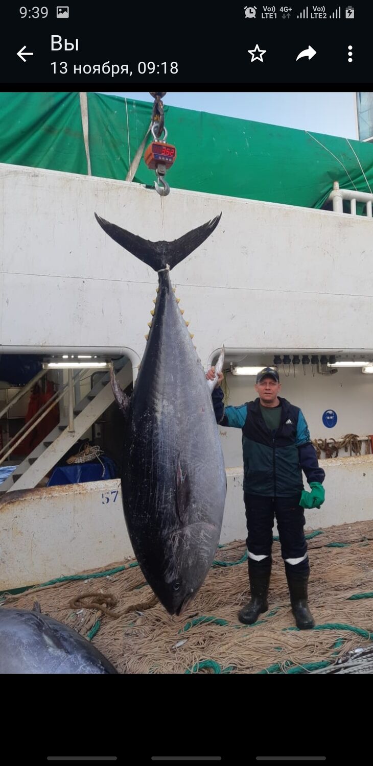 ���� 40236074 ������� �������, 42 ����, ���� ���������� � ������������