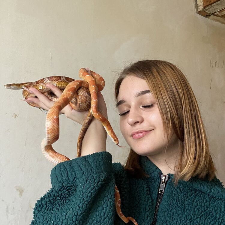 ���������� �����-���������, ���� ������� ��������, 21 ���, ������������ ��� ������, ����� � ���������