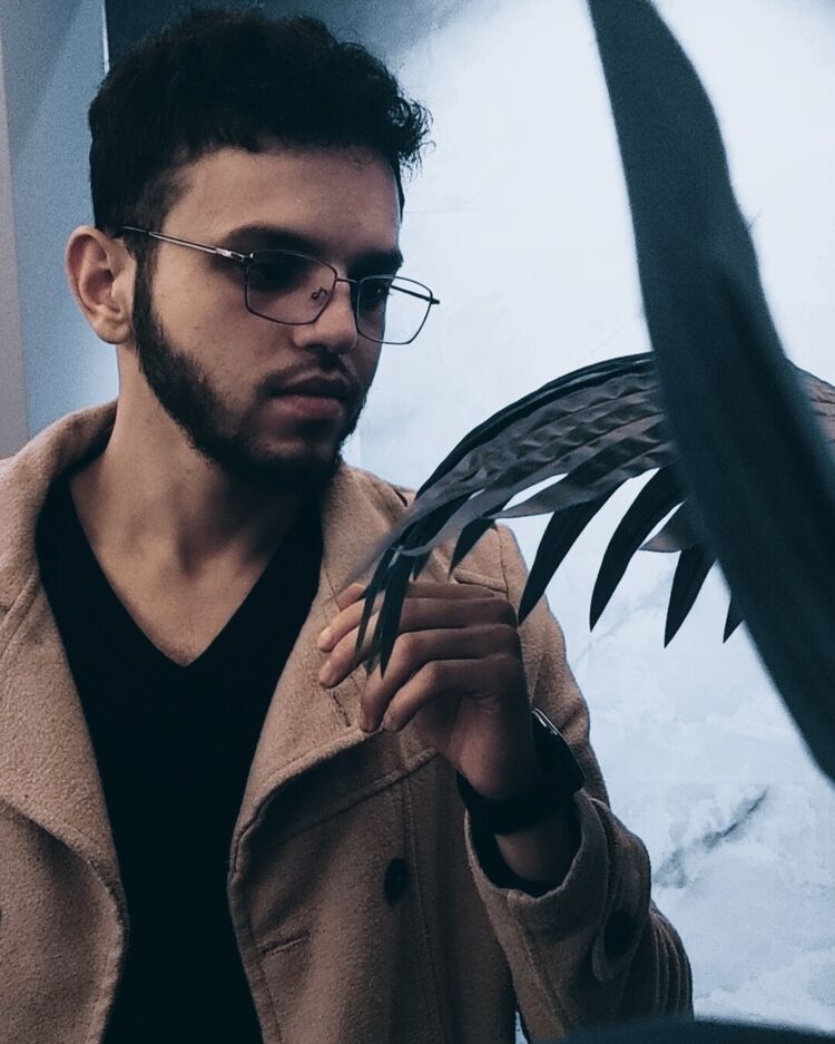 ���������� ������, ���� ����� �����, 24 ����, ������������ ��� ������, ����� � ���������