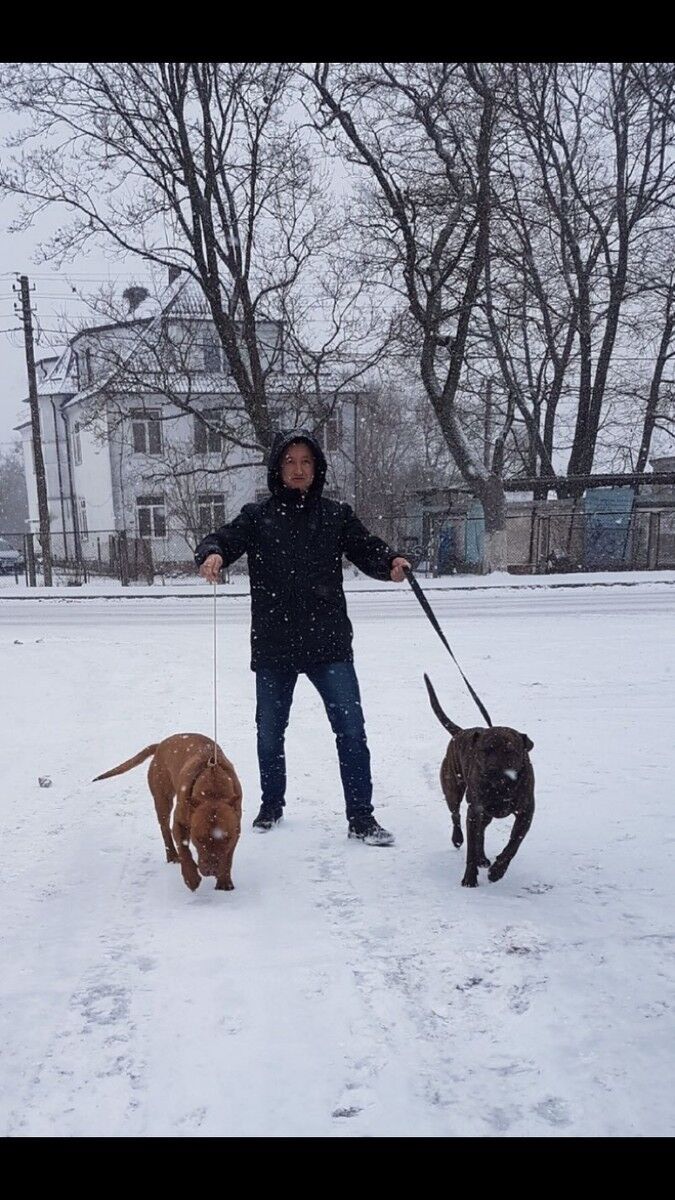 ���������� �����������, ���� ������� �������, 30 ���, ������������ ��� ������, ����� � ���������, c�������� ���������