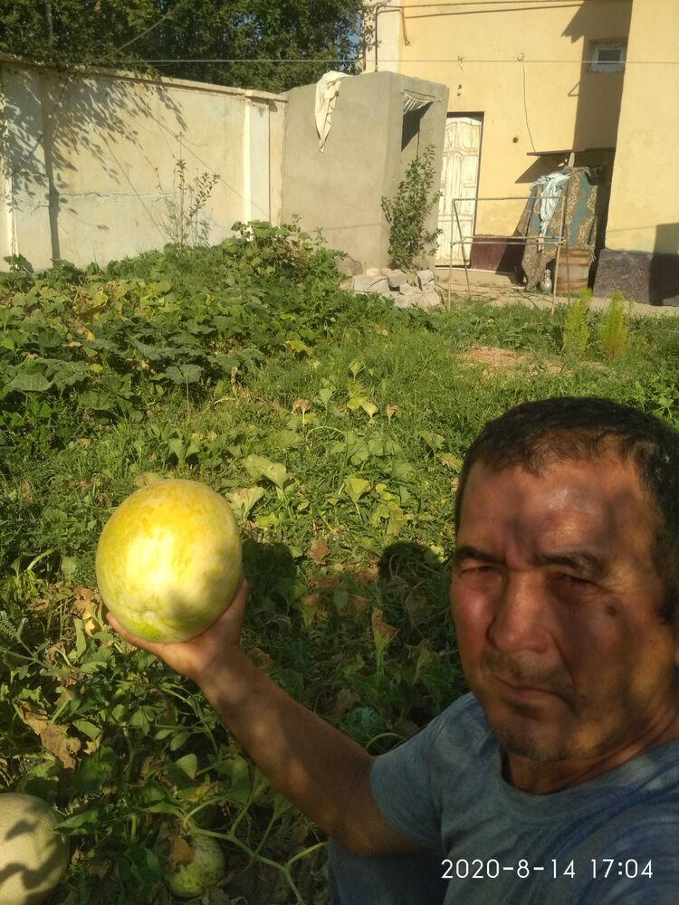  ,   , 52 ,   ,   
