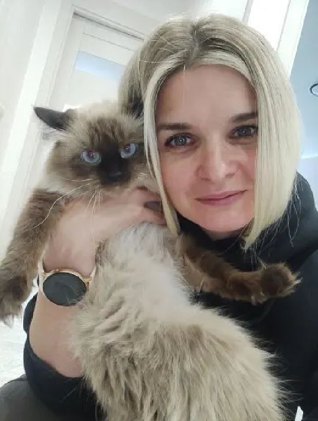 ���� 56388904 ������� �����, 29 ���, ���� ���������� � �������������